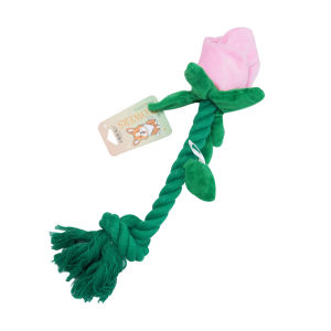 QUEZHOU | Durable Chew Interactive Pet Toy