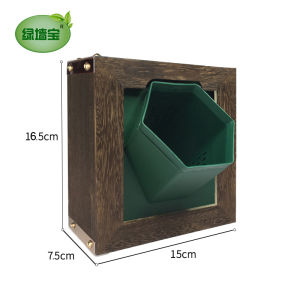 Platycerium Hanging Board Photo Frame Real Green Plant Wall Flower Stand Wall Plant Wall-Mounted Wall-Mounted Absorbent Wall-Mounted Green Dill Flowerpot