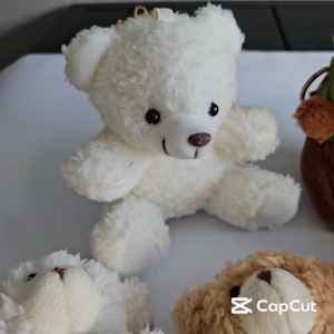 Assorted Cute Design Plush Keychain/Bag Charm