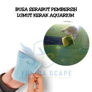BUSA SERABUT PEMBERSIH LUMUT ALGAE KERAK AQUARIUM