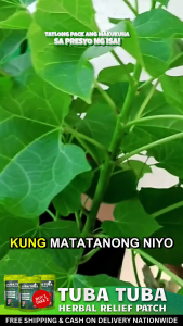 Tuba Tuba Relieve Healing Patch B1T3 Gout Organic Natural Rayuma Herbal Pain Reliever #1 Effective** *