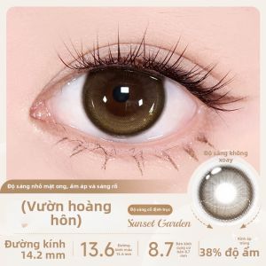 RENYUJI | Mắt Kính Kontakt Màu Phong Cách Nàng Tiên Cá Đen Vàng 0.5 Năm Hạn Sử Dụng 2 Cái