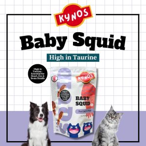 Kynos Baby Squid Dog & Cat Treats (50g) – High Protein Taurine Omega for Healthy Skin & Coat