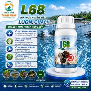 L68 - Xử lý lươn chạch lỡ loét xuất huyết nóng sốt dạng dung dịch 250ml hiệu quả nhanh an toàn cho bệnh thường gặp