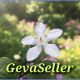 GevaSeller