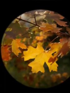 สำรองสินค้า 80X100 HD ซูมขา ** กล้องกล้องโทรทรรศน์ตา ตั้งกล้องกล้องโทรทรรศน์ตา คืนวิสัยทัศน์ตั้งแคมป์โทรศัพท์ ClipMonoculars สำหรับการถ่ายภาพโทรศัพท์มือถือ มือถือที่วาง 100 ตรัง สำหรับการใช้งานกับสนใจ 150 บาท