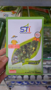 BENIH TERONG BOHAY TERONG BELANDA TERONG LALAP TERONG HIJAU HIBRIDA