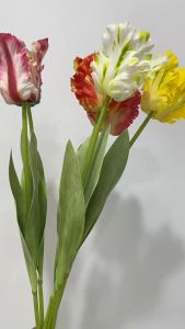 Bunga 3D Parrot Tulip Artificial: Dekorasi Ruangan Unik