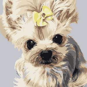 🇲🇾 Paint By Number Pets Puppies Dogs Painting Framed Canvas DIY 20x20cm Acrylic Painting Animals Numbers Painting