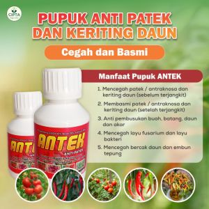 PUPUK ANTEK ANTI PATEK ANTI KERITING DAUN BERGARANSI
