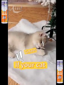 【But 1 Free 1】MNY Cat repellent Cat repellent spray Cat repellent outdoor Pet Repellent Spray The ingredients are mild and harmless to pets  Cat repellent Cat anti scratch spray Dog repellent spray