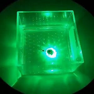 Led Fishing Lure Night Light Lamp Lights Set Bait Shape Drop Underwater Diamond Lighting Waterproof Lamps Ligthting Mini Flashing Deep Fish Retractable Carbon