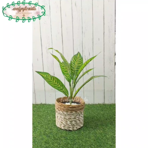 Pohon Artificial Daun Hias Daun Aglonema Zebra List Kuning X9 Cover Pot Seagrass Coklat Mini Hiasan Rak Tamu Hiasan Ambalan