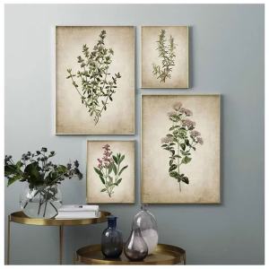 BILIBILI | Vintage Herb Art Canvas Poster And Prints Oregano Rosemary Sage Thyme Canvas Painting Retro Wall Pictures Home Art Wall Decor