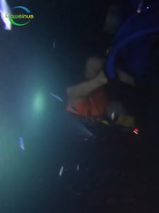 COD Genwiss Senter Selam Led Waterproof Warm dan Cool White T6 G301