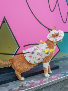 Adorable Cartoon Bear Outdoor Vest for Hairless Cats German Cat Clothes Small Bear Harness Leash Pet Supplies Cat Clothing