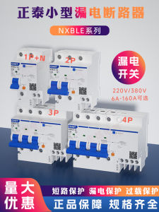 Chint NXBLE-32 Circuit Breaker Home Use 32A with Leakage Protection 2P Air Switch DZ47LE Open 63A Magnetic Blown Circuit Breaker