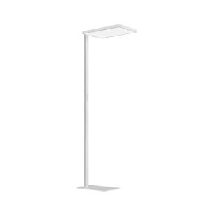 Eye-protective Reading Floor Lamp