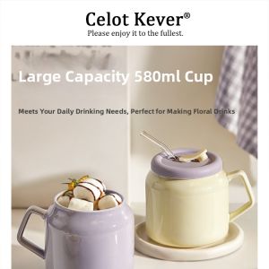 Aesthetic Ceramic Straw Lid Mug