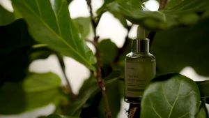 IUNIK Propolis Vitamin Synergy Serum 50ml