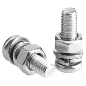 BAIRUITE | Stainless Steel Round Head Screw and Nut Set