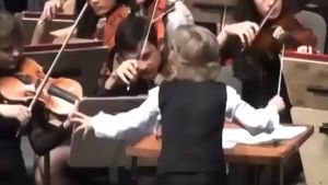 Stick Conductor Orkes: Fitur, Spesifikasi & Manfaat