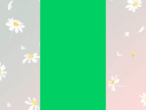 Knorr Profesional 750gr Cheese Sauce Mix Saus Keju Bumbu Rasa Keju Asli Ala Italia