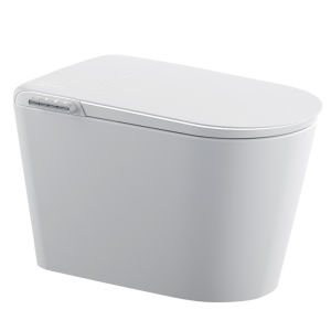 ZHIMIDA | Automatic Toilet with Foam Shield Pressure Independent