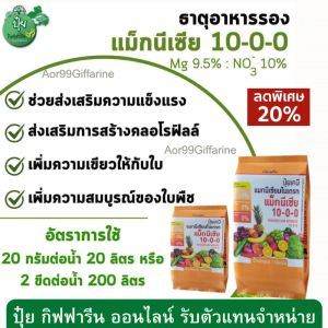 ปุ๋ย แม็กนีเซีย กิฟฟารีน สร้างคลอโรฟิลล์ แม็กนีเซียม Magnesium Fertilizer ปุ๋ยทางใบ พืชทนแล้งปุ๋ย สังเคราะห์แสง