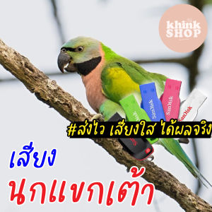 เสียงต่อนกแขกเต้า เมมเสียงต่อนกแขกเต้า แฟลชไดร์ฟเสียงต่อนกแขกเต้า มีเก็บเงินปลายทาง