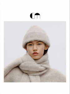 Warm Versatile Woolen Hat