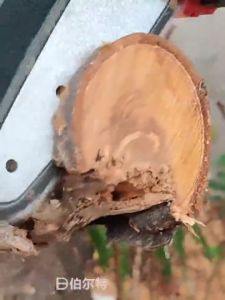 cordless chainsaw 6 inch mini electric chainsaw One-hand saw carpenter Cut down trees pruning