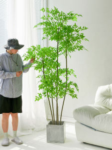 Artificial Bamboo Simulation Decorative Plant