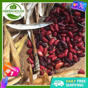 Green House® - Red Kidney Beans Seeds F1 for Planting Vegetable Plants (25 Seed) incl. Instructions for Patani Lima Bean