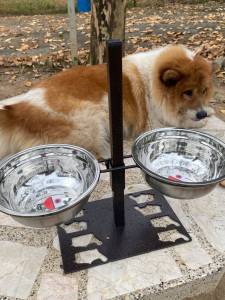 ชามปรับระดับสำหรับให้อาหารสุนัข ชามสแตนเลสขนาด 24 ซม.