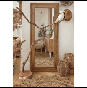 คอนนก/ กิ่งไม้แห้งธรรมชาติสำหรับนกเกาะพร้อมฐาน