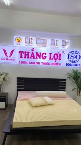 Nệm ROSI MASSAGE Thắng Lợi - Được Thiết Kế Dành Cho Người Lớn Tuổi - Đau Nhức Xương Khớp - Đau Mõi Vai Gáy