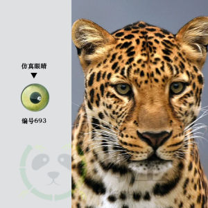 Phụ Kiện Búp Bê DIY Áo Len Lông Cừu Thủ Công Vật Liệu Thêu Chân Mày Thủy Tinh Tượng Động Vật Thực Tế Mắt Voi