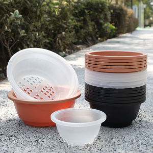 Plastic Thick round Flowerpot Short Stout Pot Group Raw Succulent Large Diameter Bonsai Green Plant Jingtian Lithops Succulent Pot