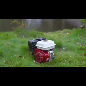 Unicorn JAPAN 4-Stroke 9.5HP Gasoline Engine Powered Portable Petrol Engine OHV Single Cylinder Engine Air Cooled Power 170F