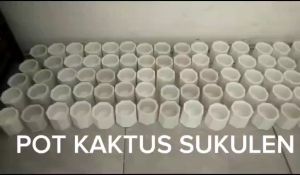10 PCS POT SUKULEN / POT KAKTUS / SOUVENIR CONCRETE POT MINI WARNA PUTIH