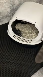 Double-Layer Cat Litter Box Mat Trapper EVA Pad Pet Foam Rubber Rug NEW