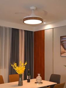 Ceiling fan with light modern 3 color 42 inch ceiling fan with led light chandelier with fan nordic ceiling fan with remote control fan light ceiling fan for living room dinning room bedroom