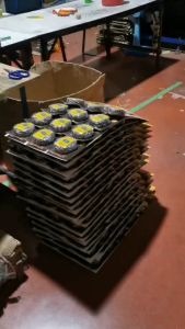 ฝอยจัมโบ้+น้ำยา (12ชิ้น/แผง) ฝอยขัดหม้อ ล้างจาน ใยขัด ฝอย ฝอยขัดหม้อ ฝอยสแตนเลส ฝอยใหญ่พิเศษ