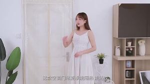 COD    A Set of Durable Household Plastic Door Curtains for Air Conditioning: PVC and Shielded Type
