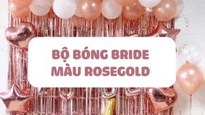 Bộ bong bóng trang trí tiệc chia tay độc thân màu Rosegold trắng ctdt28
