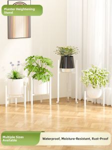 WEIMEIYUAN | Portable and Modern Design Plant Stand