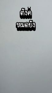 กระเป๋าผ้าแคนวาสใบเล็ก รุ่นSS (⭐️ร้าน KHEE SEUAK⭐️)