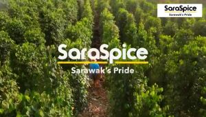 Saraspice Sarawak Biji Lada Hitam/Putih 200g/Softpack | Black/White Pepper Berries 200g