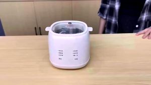 Multifunctional Automatic Egg Cooker Boiler and Steamer for Soft Medium or Hard Boiled Eggs with Appointment Feature